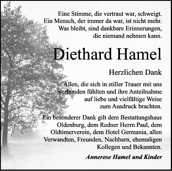Diethard Hamel Traueranzeige Der Prignitzer