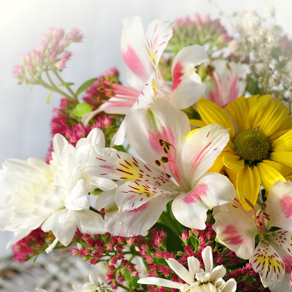 McGONIGLE, Geraldine Death Irish Times