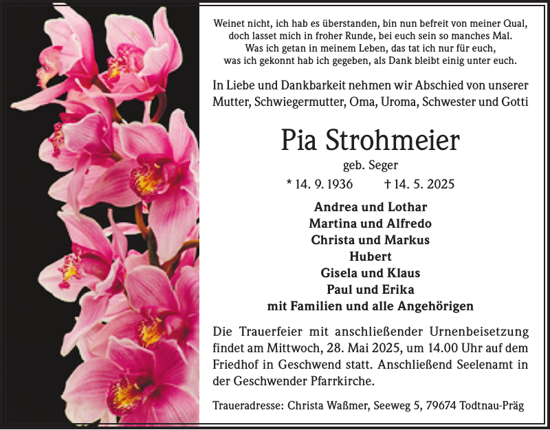 Pia Strohmeier